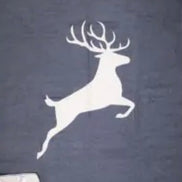 Kuscheldecke Hirsch in 2 Design