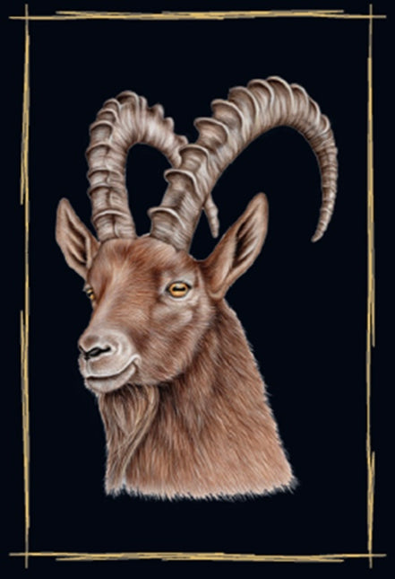 Magnet mit Hirsch, Steinbock, Murmeltier