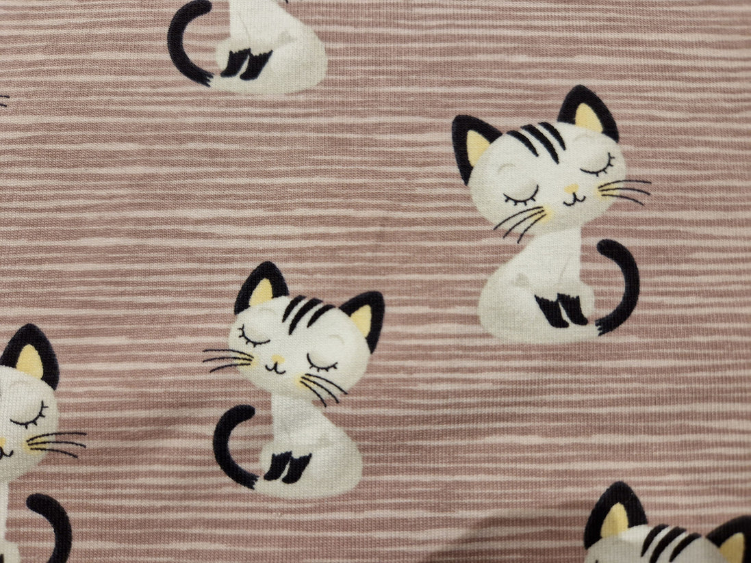 Jersey Katzen