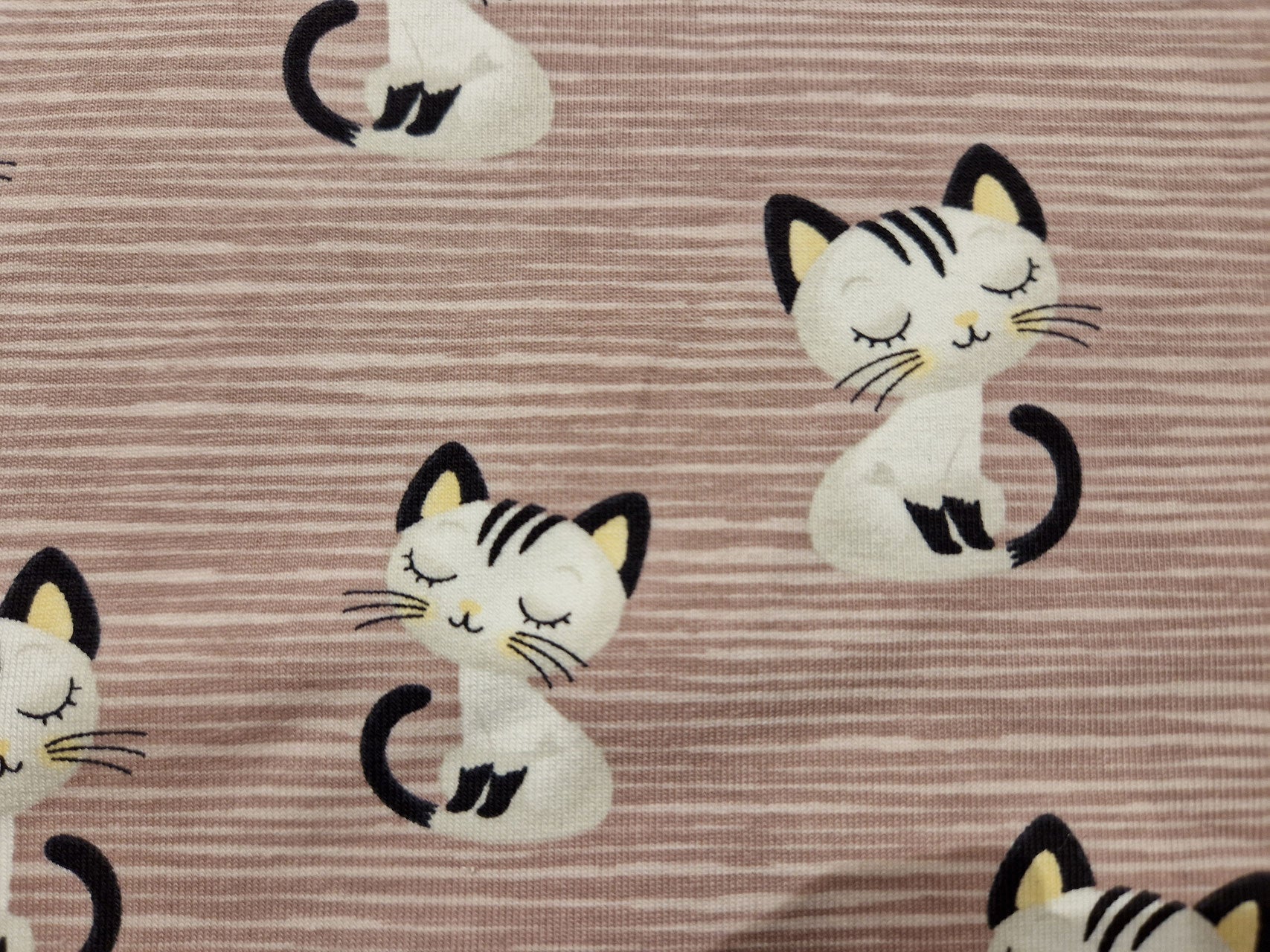 Jersey Katzen