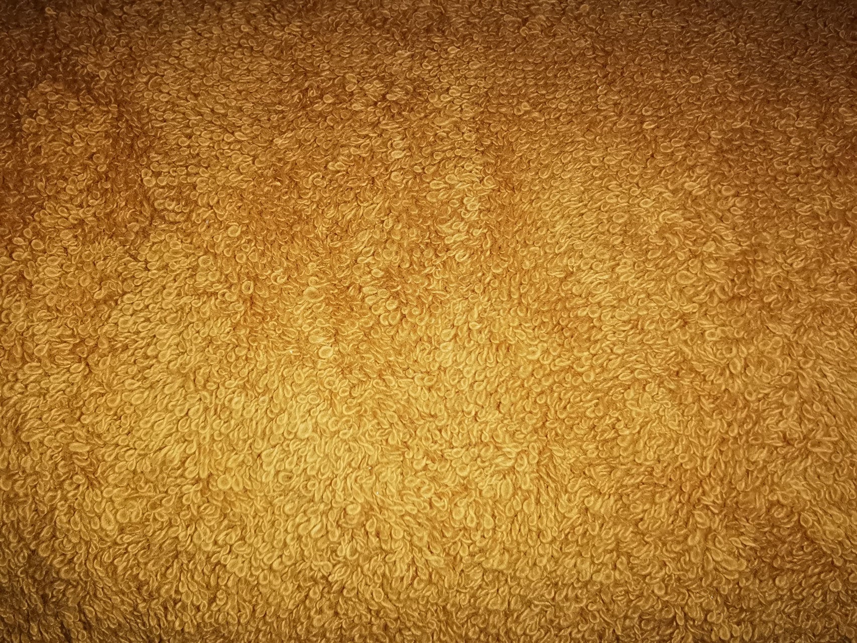 Frotte in Bio-Qualität